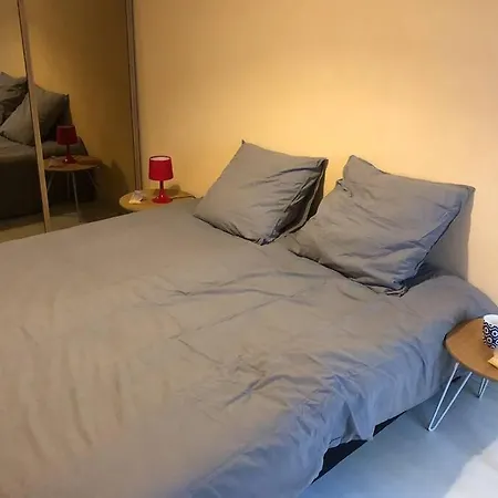 F3 - Neuf - 4/6 P - Lits King Size - Wifi - Cour Apartment Le Puy-en-Velay Exterior photo